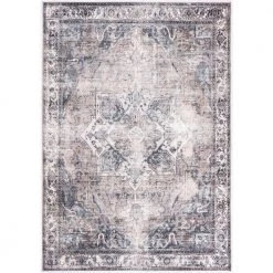 Paloma Brown 6 ft. x 9 ft. Distressed Polyester Area Rug by Abani