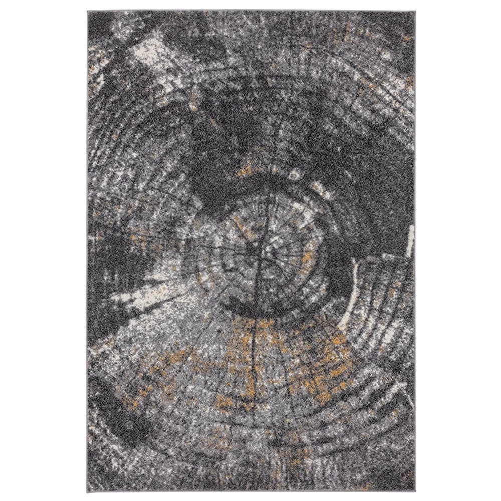 Laguna Grey 4 ft. x 6 ft. Abstract Polypropylene Area Rug by Abani 3 Laguna Grey 4 ft. x 6 ft. Abstract Polypropylene Area Rug by Abani