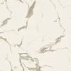 12 in. W x 24 in. L Harvested Marble Click Lock Luxury Vinyl Tile Flooring (1278.42 sq. ft./pallet) by A&A Surfaces